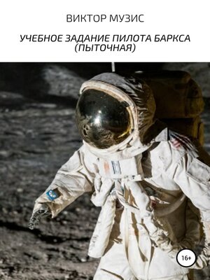 cover image of УЧЕБНОЕ ЗАДАНИЕ ПИЛОТА БАРКСА